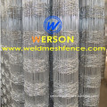 hot dipped galvanized sheep goat dog rural farm fence/mesh| werson fence